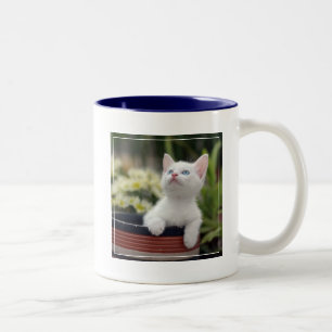 Turkish White Kitten Two-Tone Coffee Mug