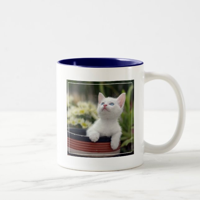 Turkish White Kitten Two-Tone Coffee Mug (Right)