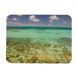 Turks and Caicos, Grand Turk Island, Cockburn 2 Magnet