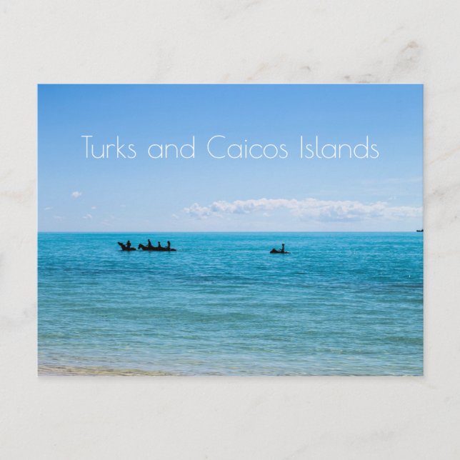 Turks and Caicos Islands Postcard (Front)