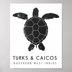 Turks And Caicos Islands Sea Turtle Ocean Surfing Poster