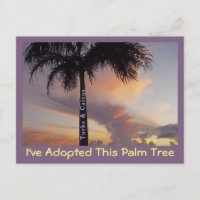 TURKS AND CAICOS POSTCARD/"I'VE ADOPTED PALM TREE