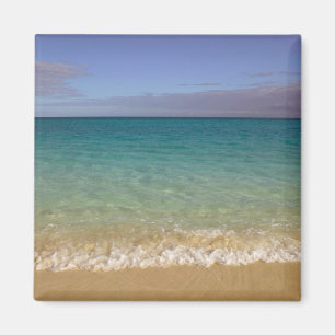 Turks and Caicos, Providenciales Island, Grace 2 Magnet