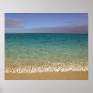 Turks and Caicos, Providenciales Island, Grace 2 Poster