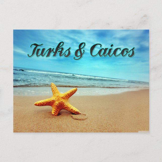 Turks & Caicos starfish Postcard (Front)