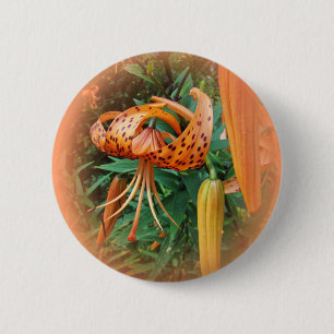 Turk's Cap Lily Wildflower 6 Cm Round Badge
