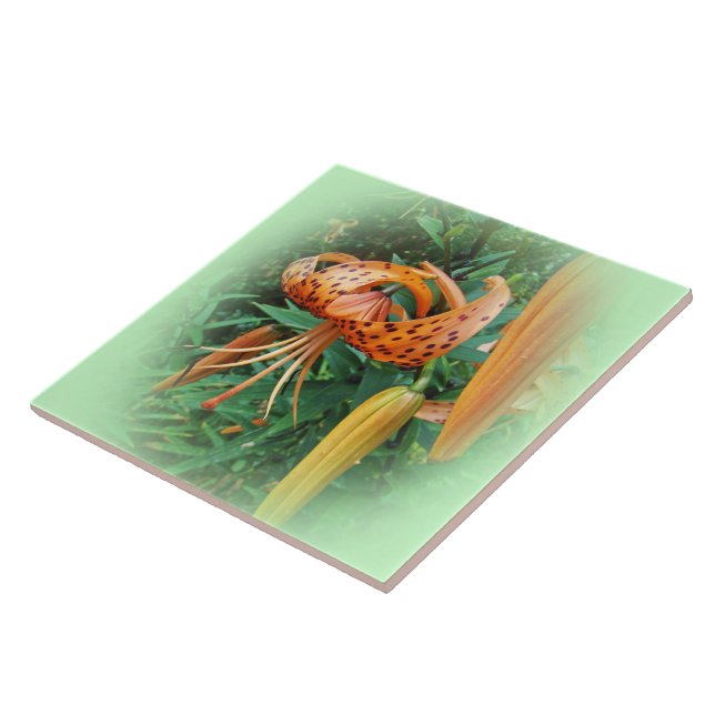 Turk's Cap Lily Wildflower - Facing Left Tile (Side)