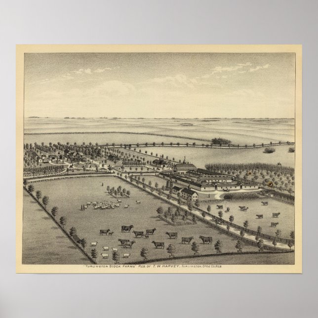 Turlington Farms, Nebraska Poster (Front)