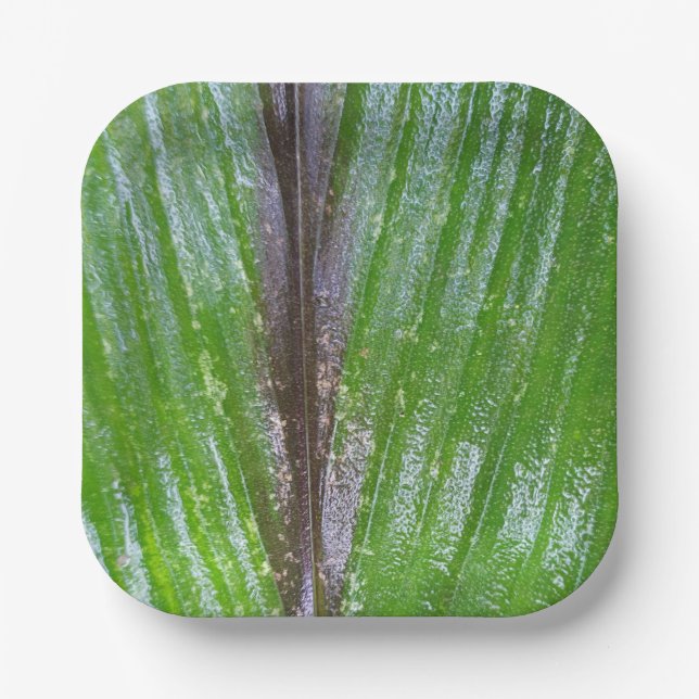 Turmeric Green Leaf 7" Square Paper Plates  (Front)