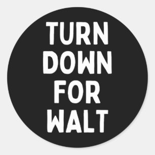 Turn Down For Walt Funny Family Vacation Trip  Classic Round Sticker