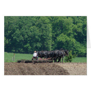 Turning a Six-Horse Team