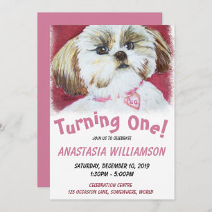 Turning One Years Old Shih Tzu Invite