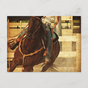 Turning Western Horse Postcard