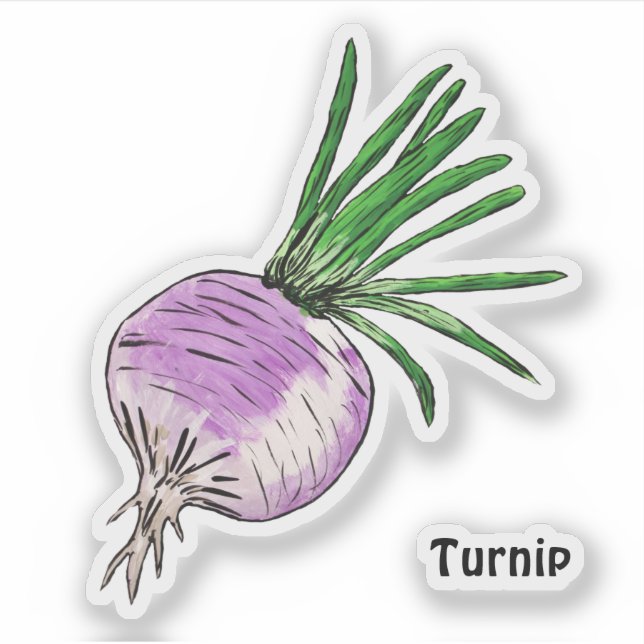 Turnip (Front)