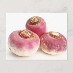 Turnips Postcard