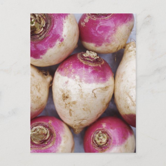 Turnips Postcard (Front)