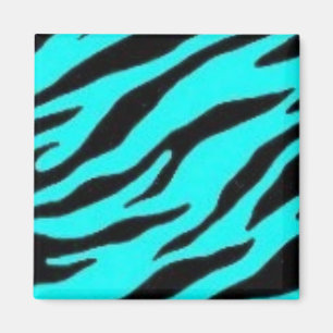 Turquoise and Black Zebra Magnet