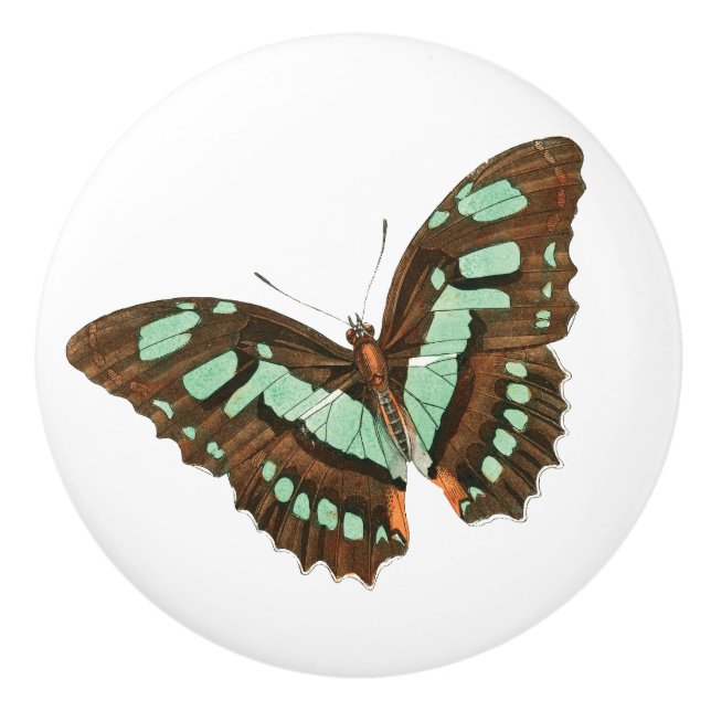 Turquoise and Brown Butterfly Ceramic Knob (Front)