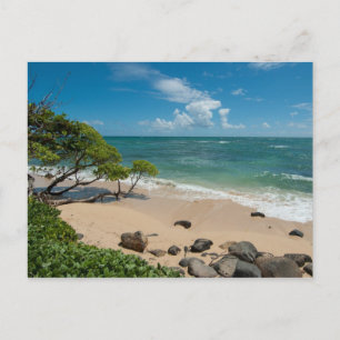 Turquoise Beach Postcard