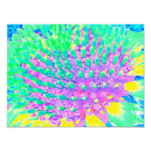 Turquoise Blue and Purple Abstract Coneflower Photo Print
