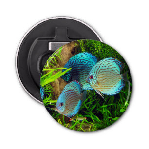 Turquoise Blue Discus Bottle Opener
