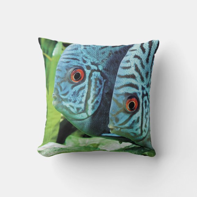 Turquoise Blue Discus Cushion (Front)