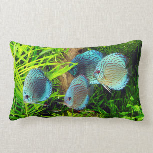 Turquoise Blue Discus Lumbar Cushion