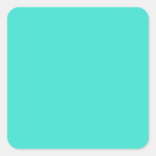 Turquoise Blue Green 40E0D0 - Option to Add Image Square Sticker