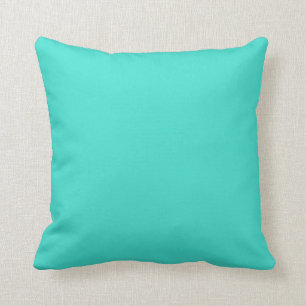 Turquoise Blue-Green Aqua Teal Solid Colour Cushion