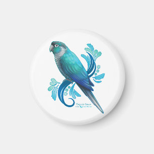 Turquoise Conure Magnet