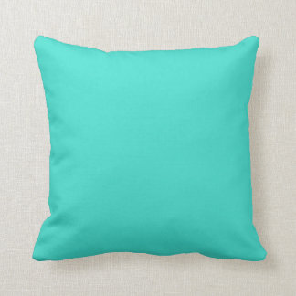 Turquoise Cushion