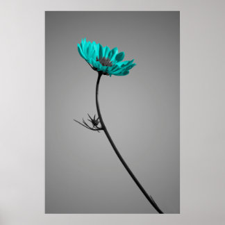 turquoise flower poster