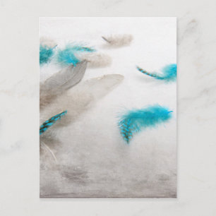 Turquoise Fluff Postcard