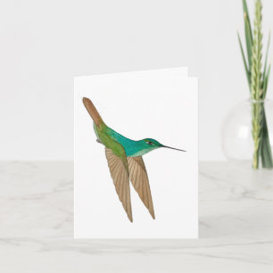 Turquoise green Hummingbird Note Card