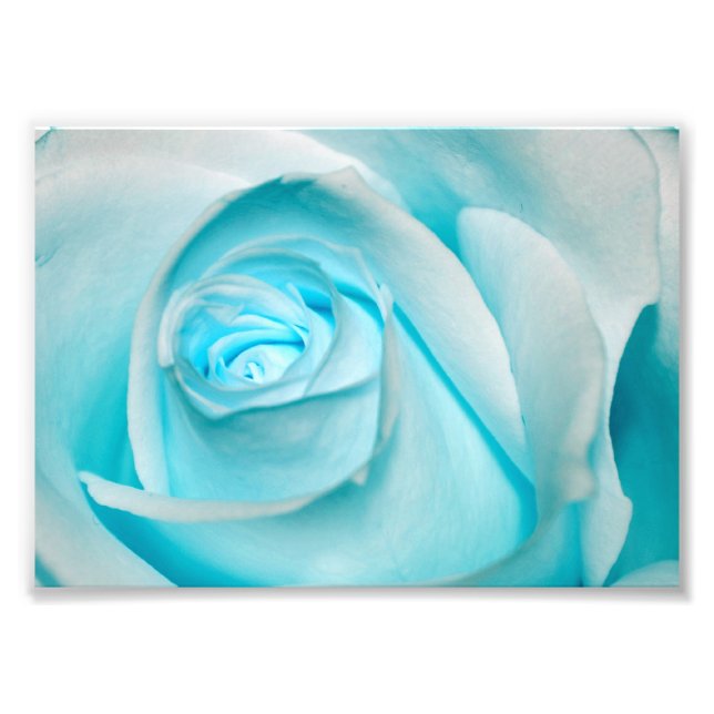Turquoise Ice Rose Photo Print (Front)