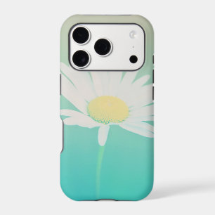 Turquoise Ombre White Daisy