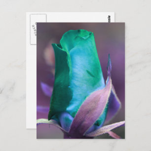Turquoise Rosebud Flower Personalized Postcard