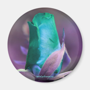 Turquoise Rosebud Flower Photography Magnet
