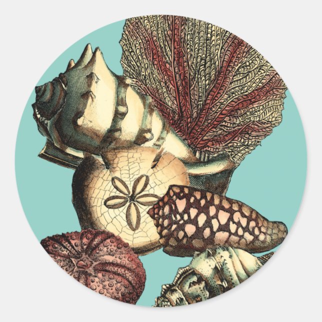 Turquoise Shell and Red Coral Collection Classic Round Sticker (Front)