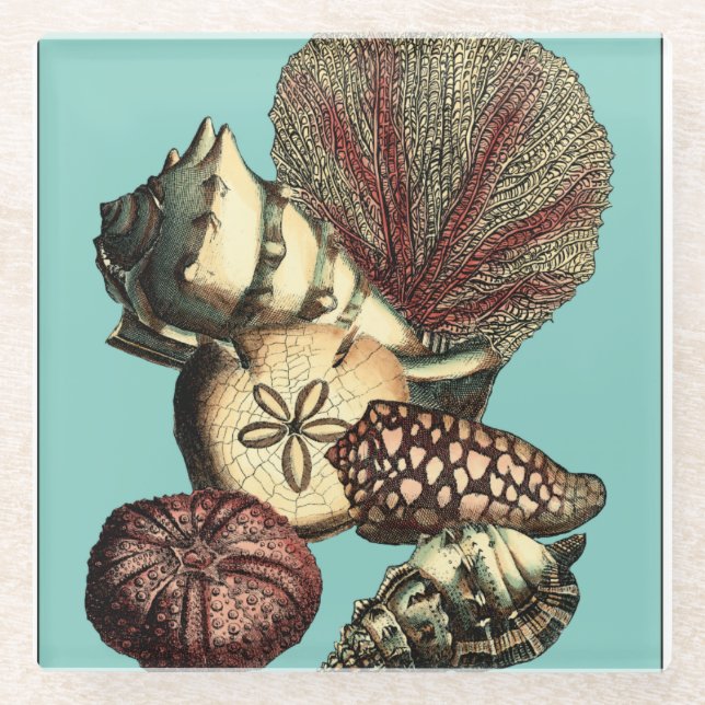 Turquoise Shell and Red Coral Collection Glass Coaster (Front)
