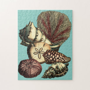 Turquoise Shell and Red Coral Collection Jigsaw Puzzle