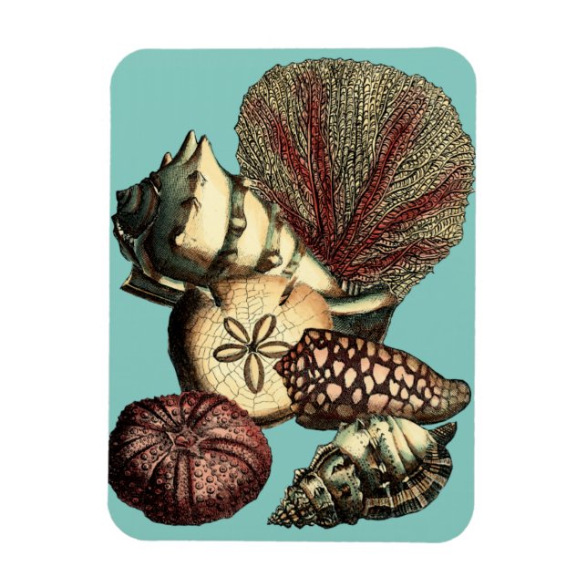 Turquoise Shell and Red Coral Collection Magnet (Vertical)