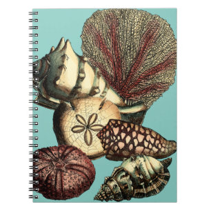 Turquoise Shell and Red Coral Collection Notebook