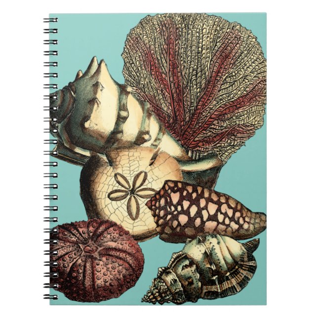 Turquoise Shell and Red Coral Collection Notebook (Front)