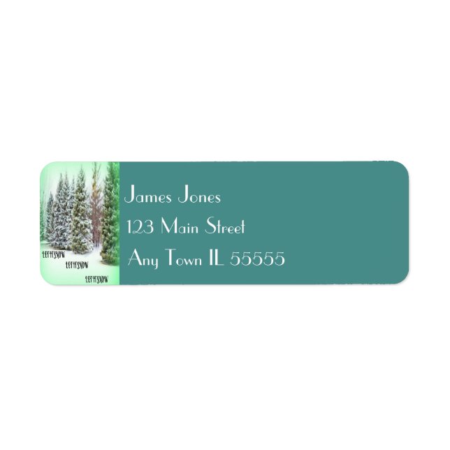 Turquoise Snowflake Return Address Label (Front)