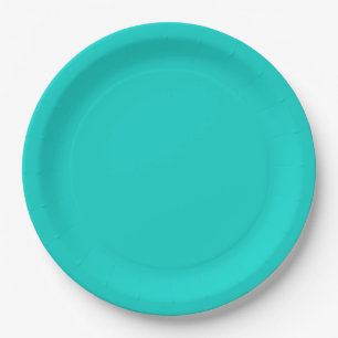 Turquoise solid colour paper plate