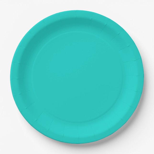 Turquoise solid colour paper plate (Front)