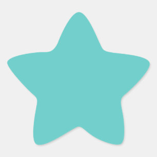 turquoise star matte sticker
