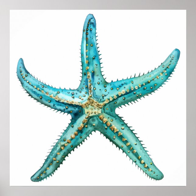  Turquoise starfish  24 x 24 Poster (Front)
