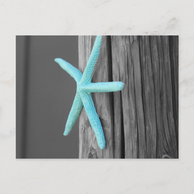 Turquoise Starfish Coastal Postcard (Front)